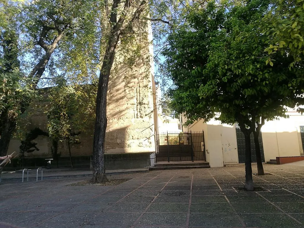 Duplex Ancha Con Wifi Y Parking Apartment Jerez de la Frontera 0*,  Spain