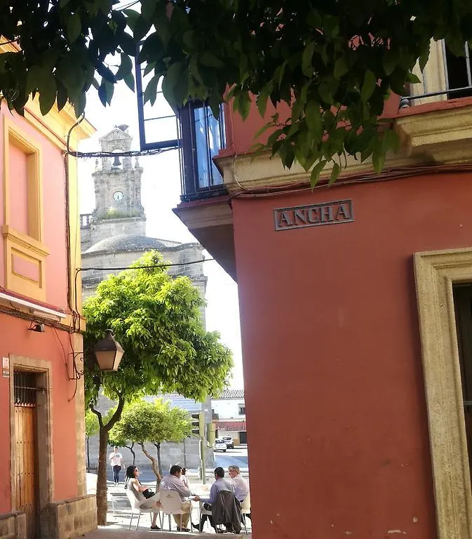 Duplex Ancha Con Wifi Y Parking Apartment Jerez de la Frontera